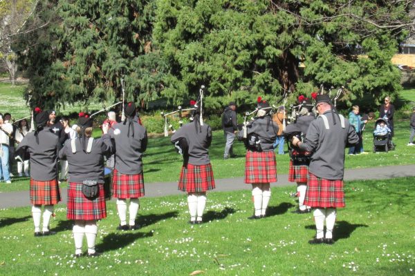 545573908_1418147480315463_8457611627892918435_n